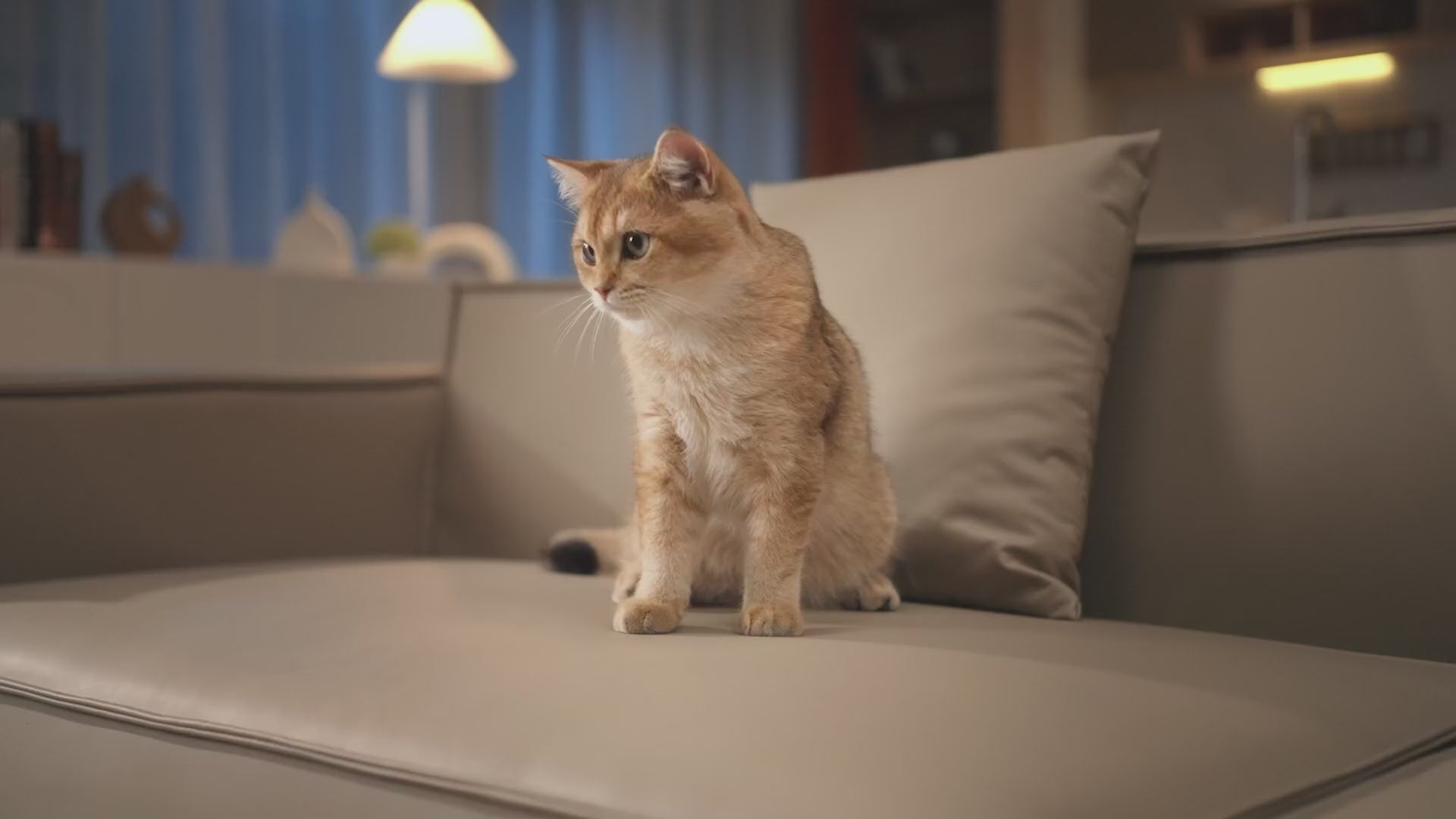 Load video: 