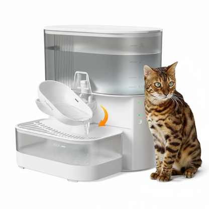White Pet Water Fountain Main Image